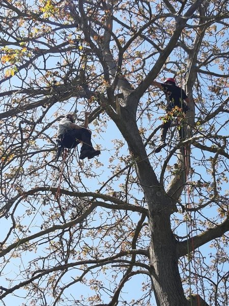 Jährliche Rettungsübung des Kletterteams