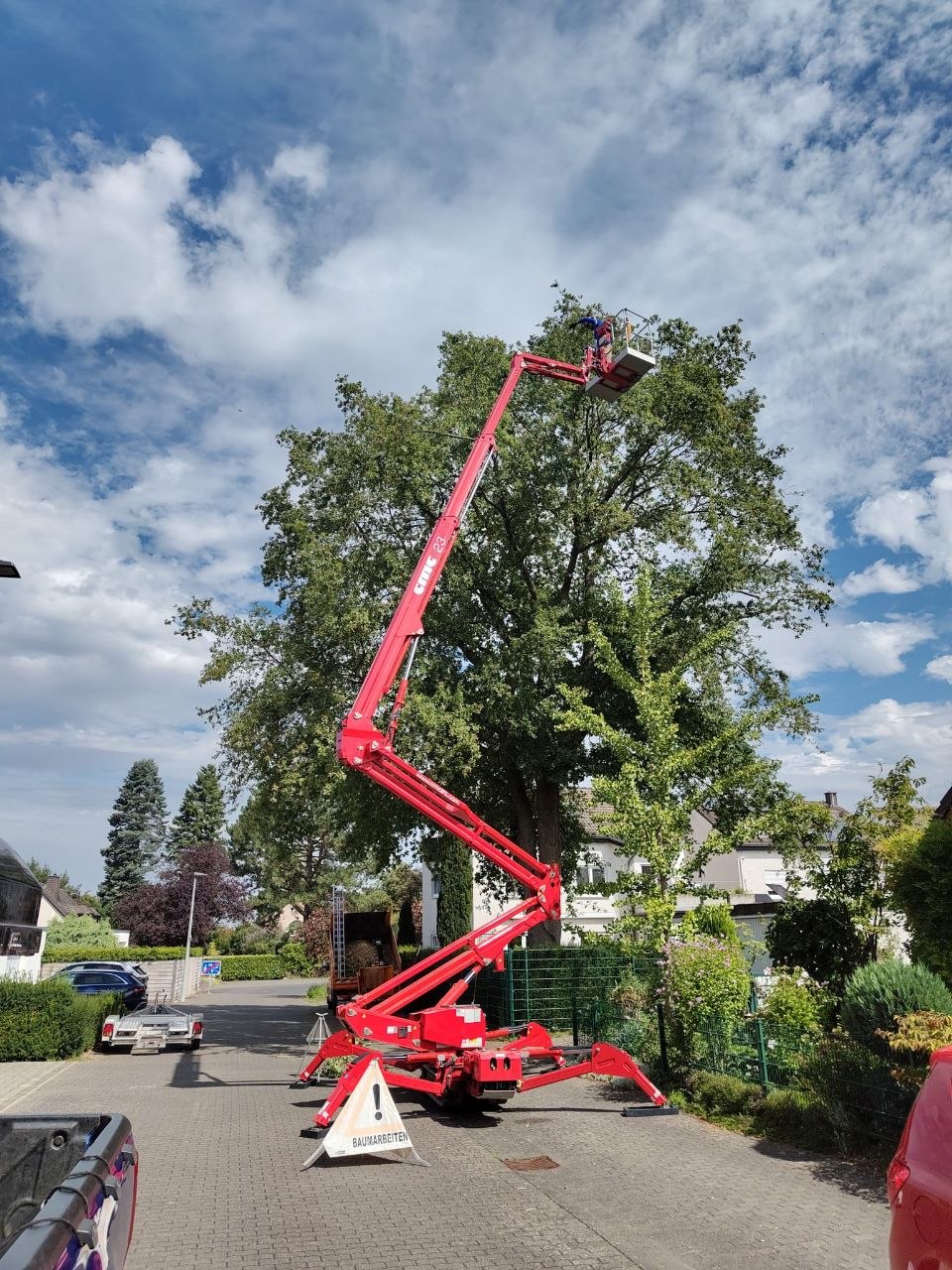 Hubarbeitsbühne im Einsatz an einem Straßenbaum